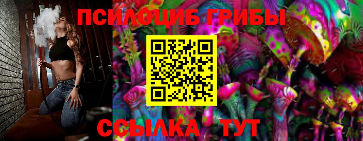 Галлюциногенные грибы Psilocybe  Вход с VPN  Краснодар  Псилоцибиновые грибы мицелий 